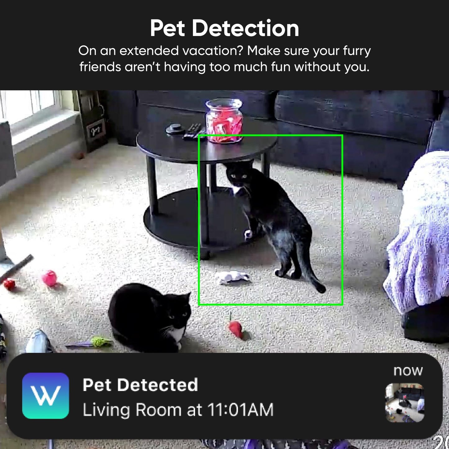 Wyze Security Plan - Cam Unlimited | Unlimited Cameras | 1 Month Subscription. Full AI features | Facial Recognition for Friendly Faces | Smart Detection for Person, Pet, Package, Vehicle and Glass Break | Security Surveillance and Monitoring | Rolling 14